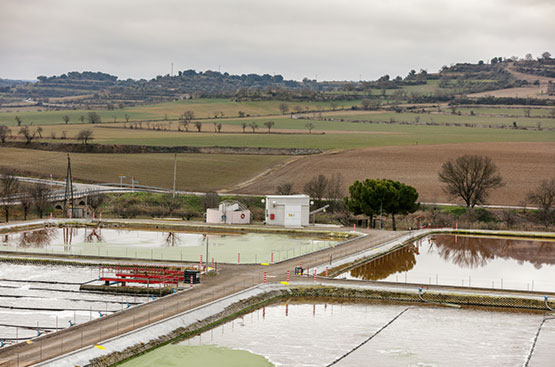 Planta depuració Cervera